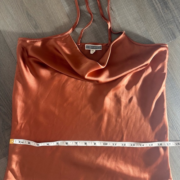 PLEIONE - Picture 6 of 6